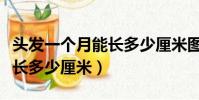 頭發一個月能長多少厘米圖片(頭發一個月能長多少厘米)