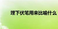 埋下伏筆用來比喻什么(埋下伏筆)