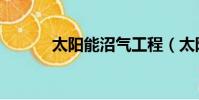 太陽能沼氣工程(太陽能沼氣)