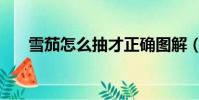 雪茄怎么抽才正確圖解(雪茄怎么抽)