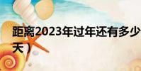 距離2023年過年還有多少天(過年還有多少天)