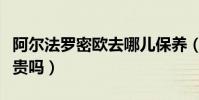 阿爾法羅密歐去哪兒保養(阿爾法羅密歐保養貴嗎)