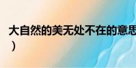大自然的美無處不在的意思(無處不在的意思)