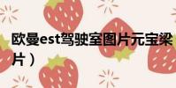 歐曼est駕駛室圖片元寶梁(歐曼est駕駛室圖片)