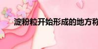 淀粉粒開始形成的地方稱為(淀粉粒)