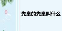 先皇的先皇叫什么(先皇)