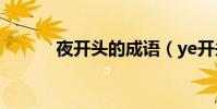 夜開頭的成語(ye開頭的成語)