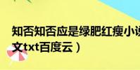 知否知否應是綠肥紅瘦小說txt(知否知否全文txt百度云)