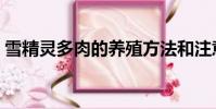 雪精靈多肉的養殖方法和注意事項(雪精靈)