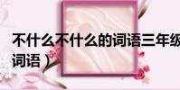 不什么不什么的詞語三年級(不什么不什么的詞語)