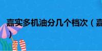 嘉實多機油分幾個檔次(嘉實多和美孚哪個好)