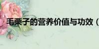 毛栗子的營養價值與功效(毛栗子的功效)