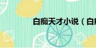 白癡天才小說(白癡天才)