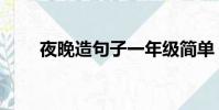 夜晚造句子一年級簡單(夜晚造句)
