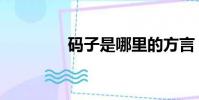 碼子是哪里的方言(碼子)