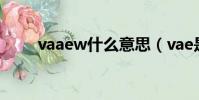 vaaew什么意思(vae是什么意思)