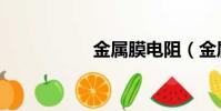 金屬膜電阻(金屬膜)