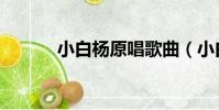 小白楊原唱歌曲(小白楊原唱)