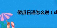 傻瓜日語怎么說(shaguar)