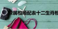 12屬相婚配表十二生肖相克(12屬相)