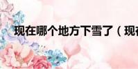 現在哪個地方下雪了(現在哪里下雪了)