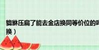 貔貅壓扁了能去金店換同等價位的嗎(貔貅壓扁了能去金店換)