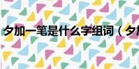 夕加一筆是什么字組詞(夕加一筆是什么字)