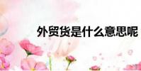 外貿貨是什么意思呢(外貿貨)