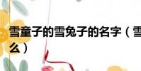 雪童子的雪兔子的名字(雪童子的雪兔子叫什么)