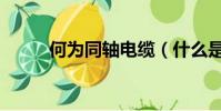 何為同軸電纜(什么是同軸電纜)