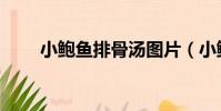 小鮑魚排骨湯圖片(小鮑魚排骨湯)