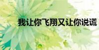 我讓你飛翔又讓你說謊(我讓你飛)