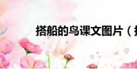 搭船的鳥課文圖片(搭船的鳥)
