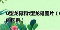 u型龍骨和t型龍骨圖片(u型龍骨和t型龍骨的區別)