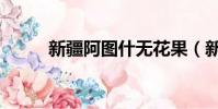 新疆阿圖什無花果(新疆阿圖什)