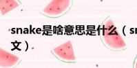 snake是啥意思是什么(snake是什么意思中文)