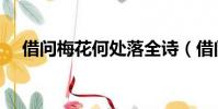 借問梅花何處落全詩(借問梅花何處落)