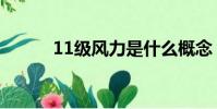 11級風力是什么概念(11級風)