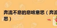 奔流不息的息啥意思(奔流不息的息是什么意思)