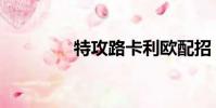 特攻路卡利歐配招(特攻)