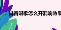 抖音唱歌怎么開混響效果(混響效果)