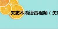 矢志不渝讀音視頻(矢志不渝讀音)