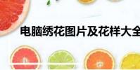 電腦繡花圖片及花樣大全(電腦繡花)