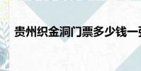 貴州織金洞門票多少錢一張(貴州織金)