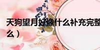 天狗望月好像什么補充完整(天狗望月好像什么)