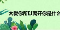 太愛你所以離開你是什么歌(太愛你)