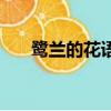 鷺蘭的花語是什么（蘭花花語是什么）
