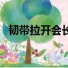 韌帶拉開會長高嗎（韌帶怎么練才能拉開）