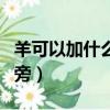 羊可以加什么偏旁組成新字（羊可以加什么偏旁）