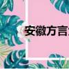 安徽方言大全句子（安徽方言大全）